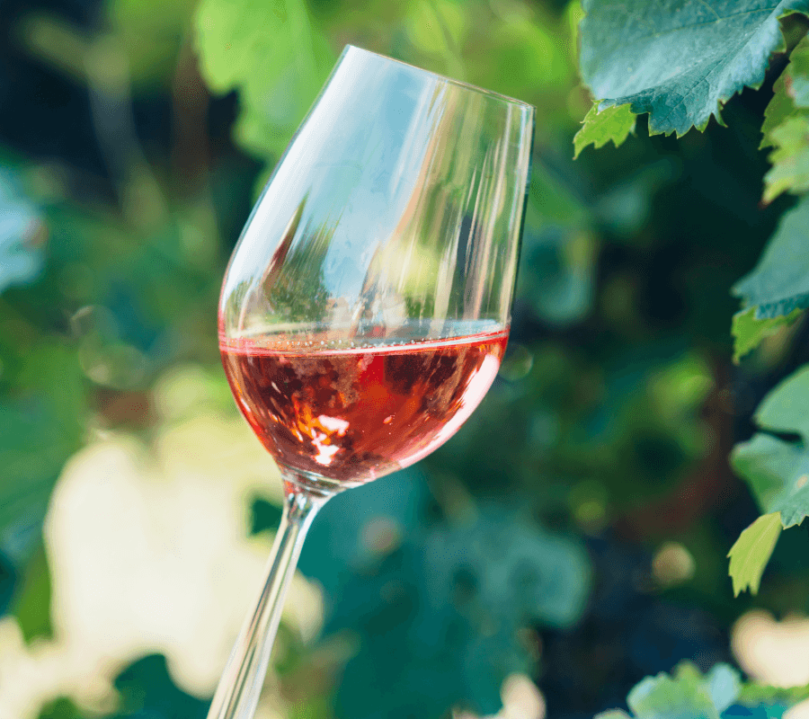 A glass of rosé wine set against a backdrop of green leaves.