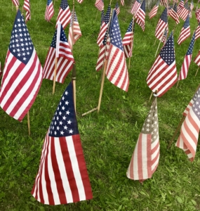 American Flags in the ground