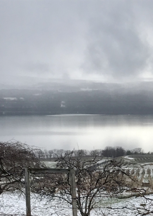 Finger Lakes photo with fog over the lake