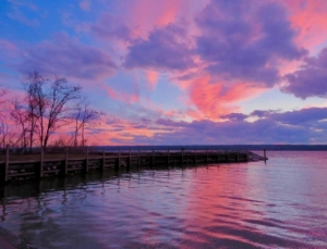 The Finger Lakes 3