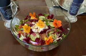 Tillinghast Manor - Jean’s vegetable salad from her garden