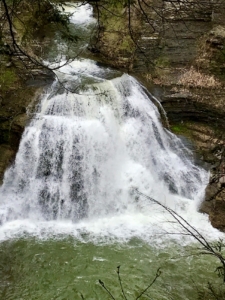 Waterfalls - Robert Tremain State Park, Trillium, Bloodroot 1