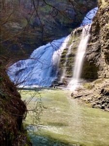 Waterfalls - Robert Tremain State Park, Trillium, Bloodroot 5