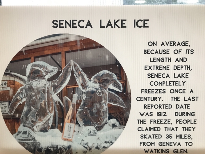 hiking and the lakes Seneca Lake Ice Sign